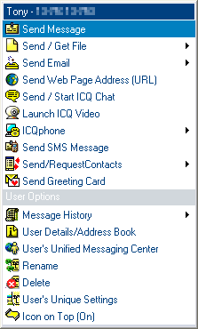 ICQ - User's Menu