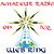 Amateur Radio on ICQ Web Ring